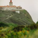 fws-slide-6-1775128211