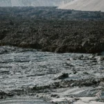 fws-slide-6-1775391431