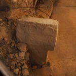 fws-slide-6-1775391616