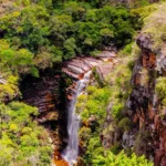 fws-slide-6-1775475884