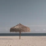 fws-slide-6-1775516936