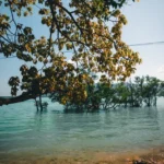 fws-slide-6-1775517162