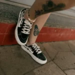 fws-slide-6-1775553597