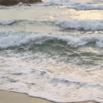 fws-slide-7-1774999245