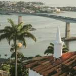 fws-slide-7-1775081688