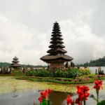 fws-slide-7-1775127630