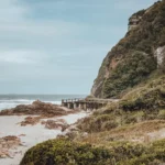 fws-slide-7-1775127885