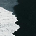 fws-slide-7-1775128001