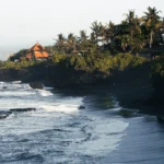 fws-slide-7-1775128213