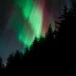 fws-slide-7-1775128388