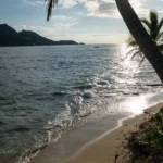 fws-slide-7-1775128601