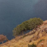 fws-slide-7-1775390962