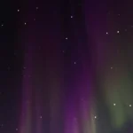 fws-slide-7-1775516188