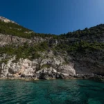 fws-slide-7-1775516452