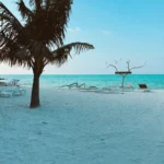 fws-slide-7-1775517165