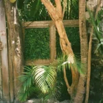 fws-slide-7-1776272125