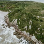 fws-slide-8-1774999249