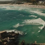 fws-slide-8-1775476384