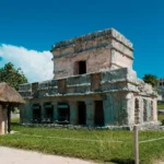 fws-slide-8-1775476626