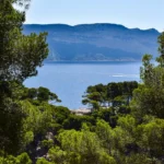 fws-slide-8-1775516454