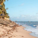 fws-slide-8-1775516702