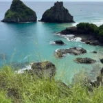 fws-slide-8-1775516942