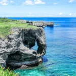 fws-slide-8-1775517169