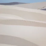 fws-slide-9-1775390819
