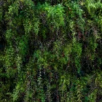 fws-slide-9-1775391132