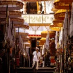 fws-slide-9-1775476630