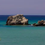 fws-slide-9-1775516456