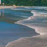 fws-slide-9-1775516945