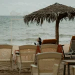 fws-slide-9-1775517173